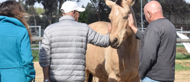להחזיר את המושכות לידיים
