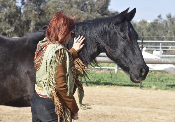 התפתחות מקצועית