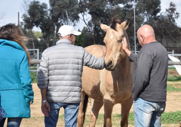 להחזיר את המושכות לידיים