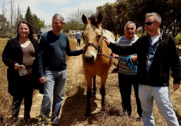 סדנאות חוויה לארגונים