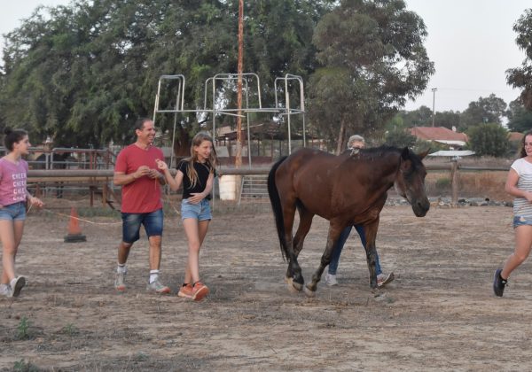לקבוצות ומשפחות