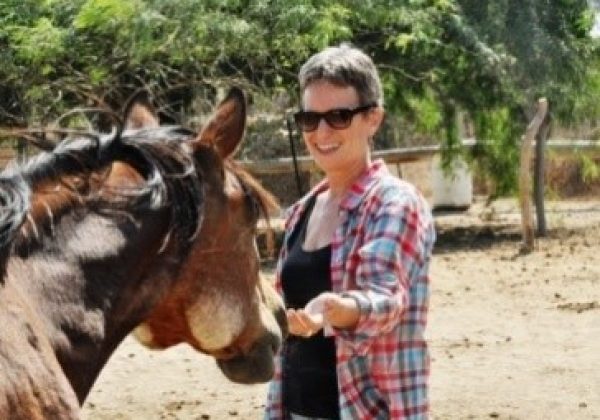 לגדול עם סוסים