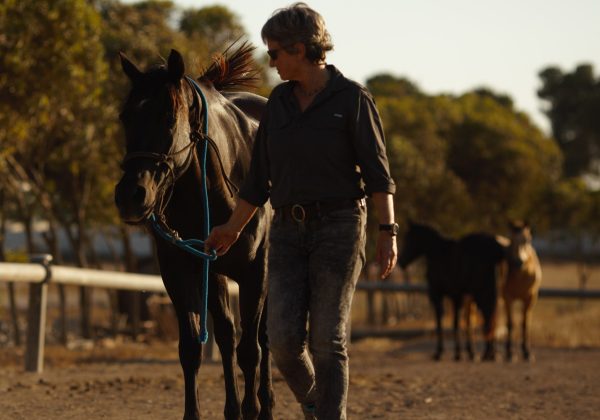 פיתוח ארגוני